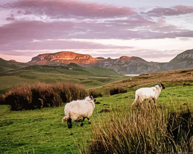 Yorkshire Dales Sunrise Painting By Numberss.png