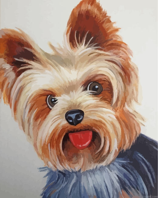 Yorkshire Terrier Dog Painting By Numberss.png