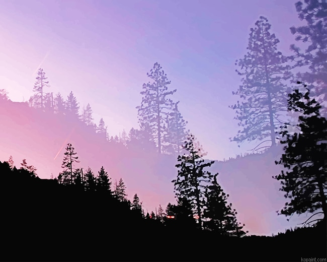 Yosemite Valley Trees Silhouette Paint By Numbers