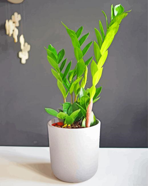 Zamioculcas Plant Paint By Numbers.png