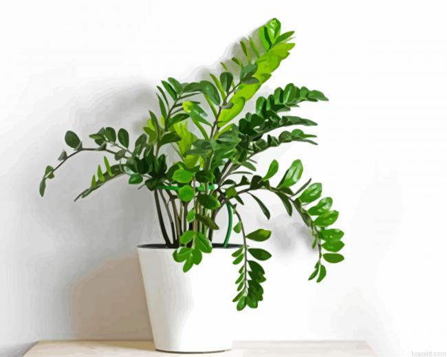 Zamioculcas Plant Paint By Numbers