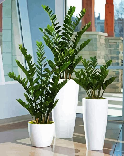 Zamioculcas Plant Pot Painting By Numberss.png