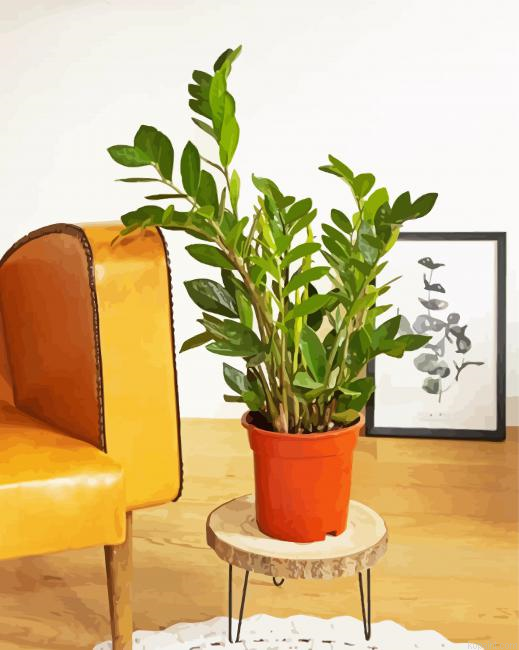 Zamioculcas Plants Pot Painting By Numberss.png