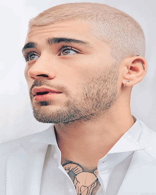 Zayn Malik New Look Paint By Numbers