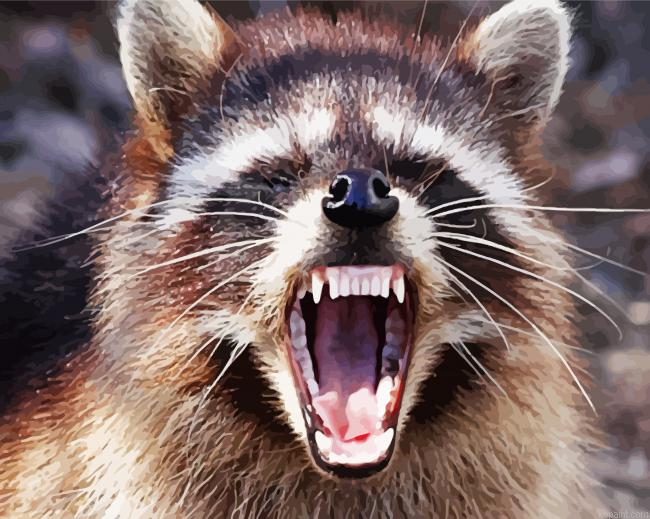 Zombie Raccoon Ohio Painting By Numberss.png