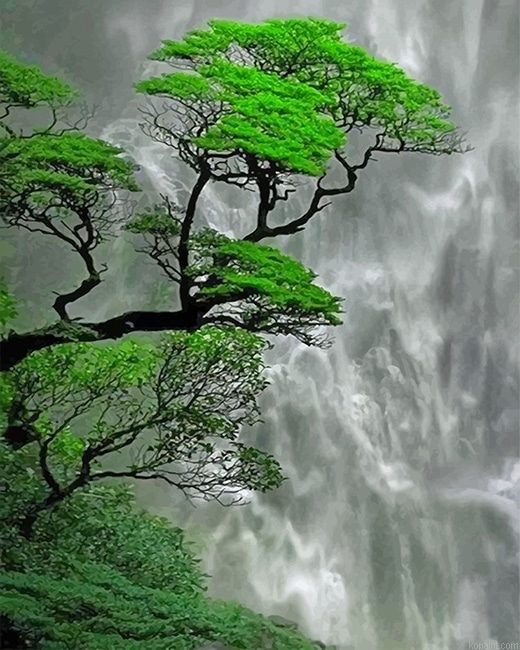 Trees Waterfall New Painting By Numberss.png