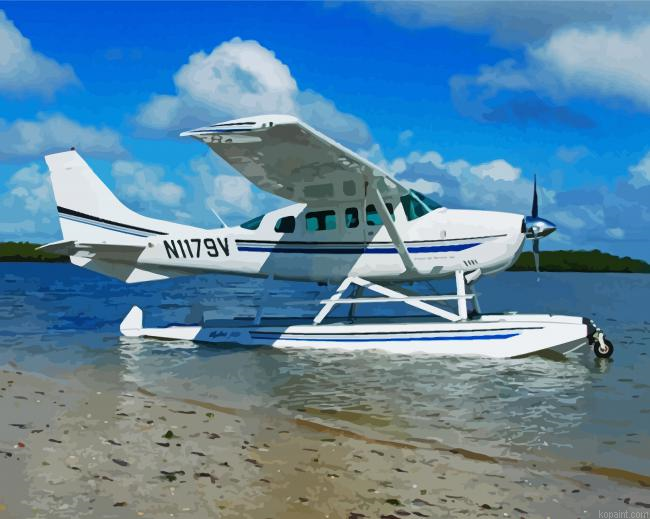 White Seaplane Painting By Numberss.png